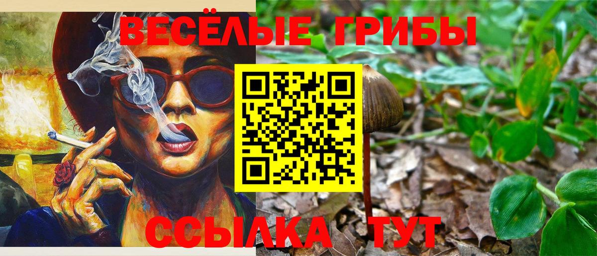 Галлюциногенные грибы Psilocybine cubensis  Вход с VPN  Озёры 